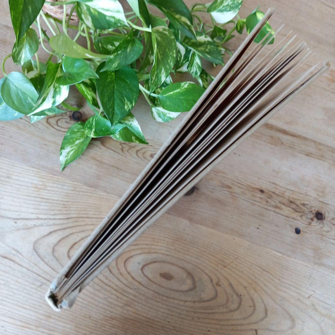 洋書古書1922年メッセージ　楽譜シューマン　ルメール画集アンティーク 水彩画