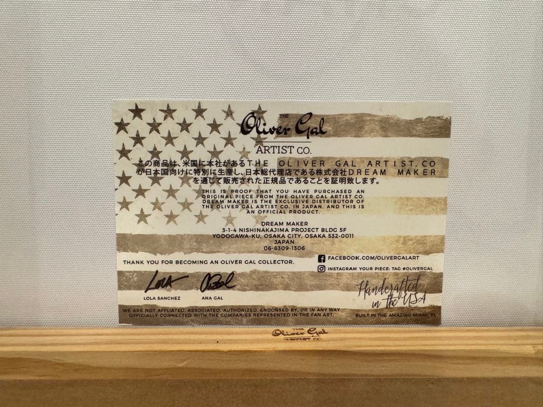 THE OLIVER GAL アートパネル 【正規品】