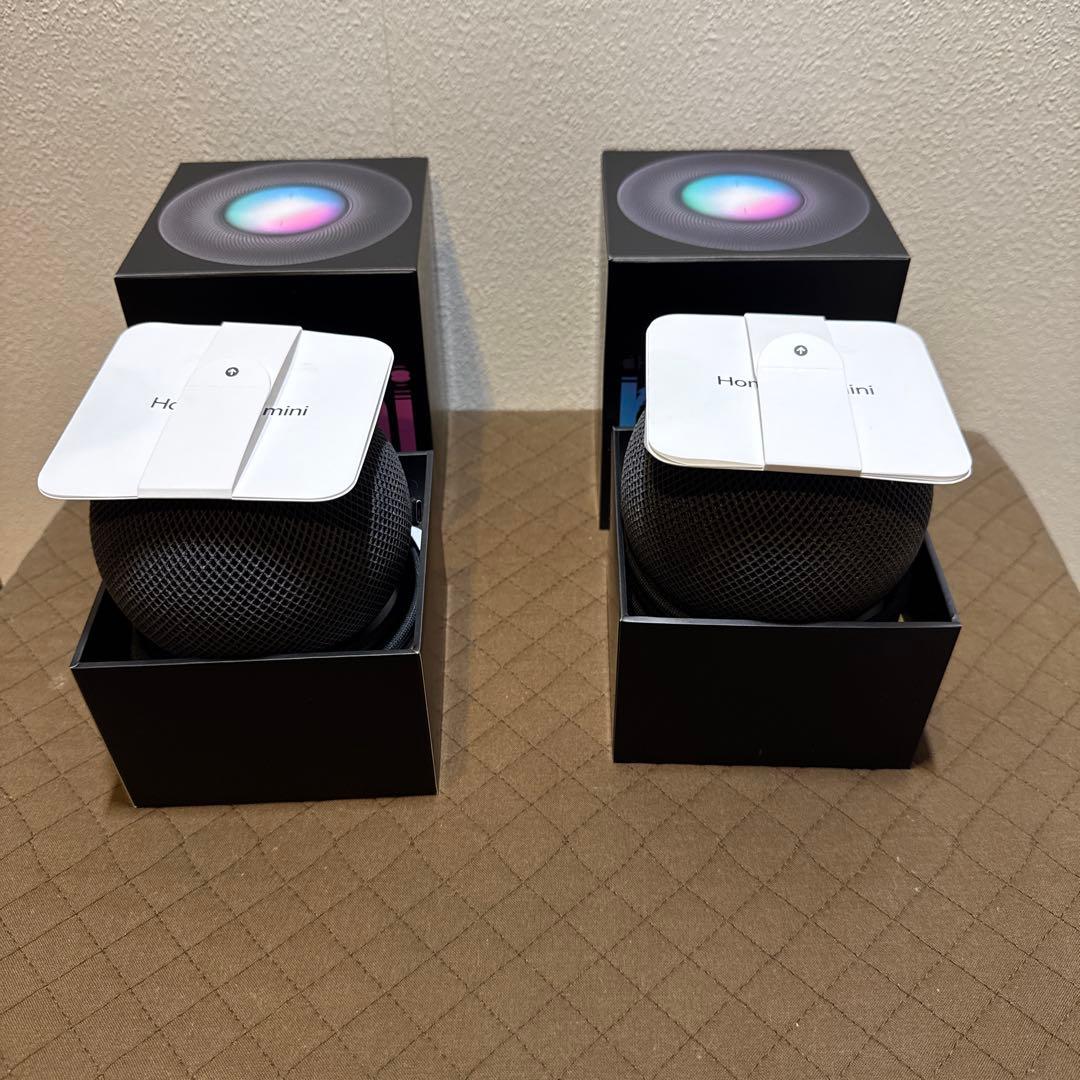 Apple Pod Mini 2台セット