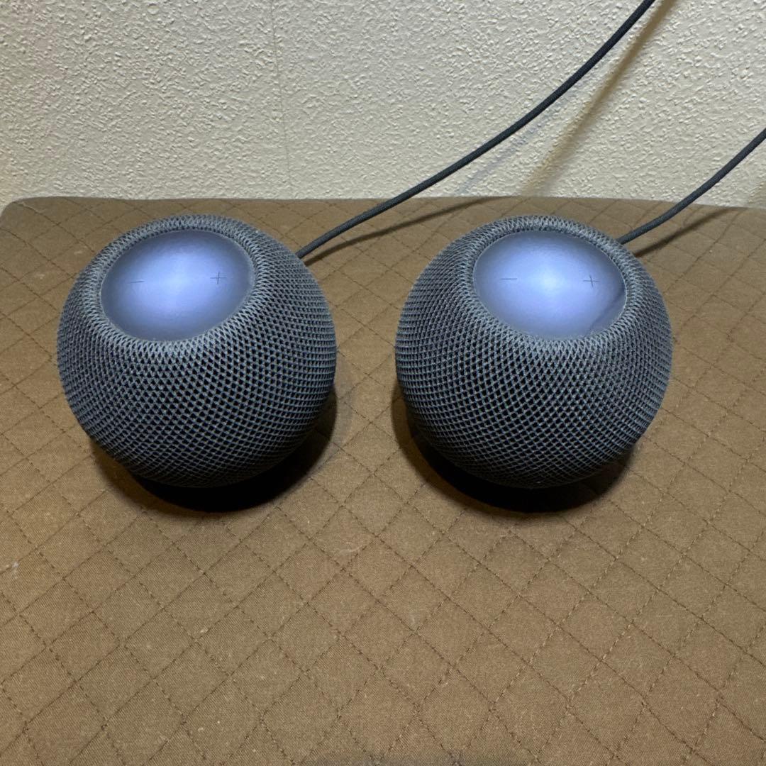 Apple Pod Mini 2台セット