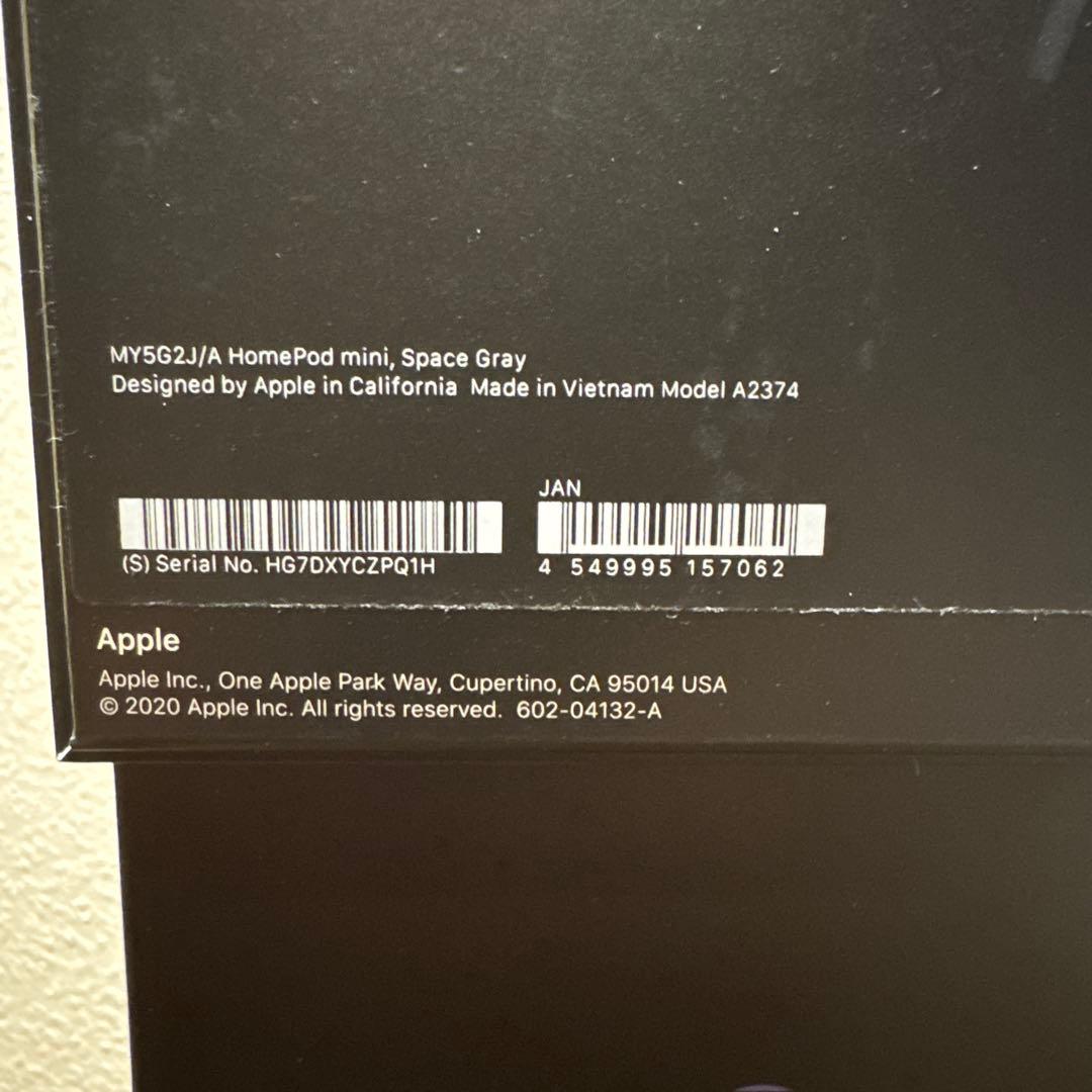 Apple Pod Mini 2台セット