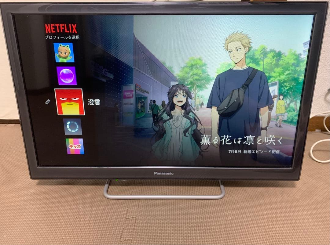 パナソニック　TH-24ES500-S 24型 ⭕️上地、BS/CS、動画可テレビ