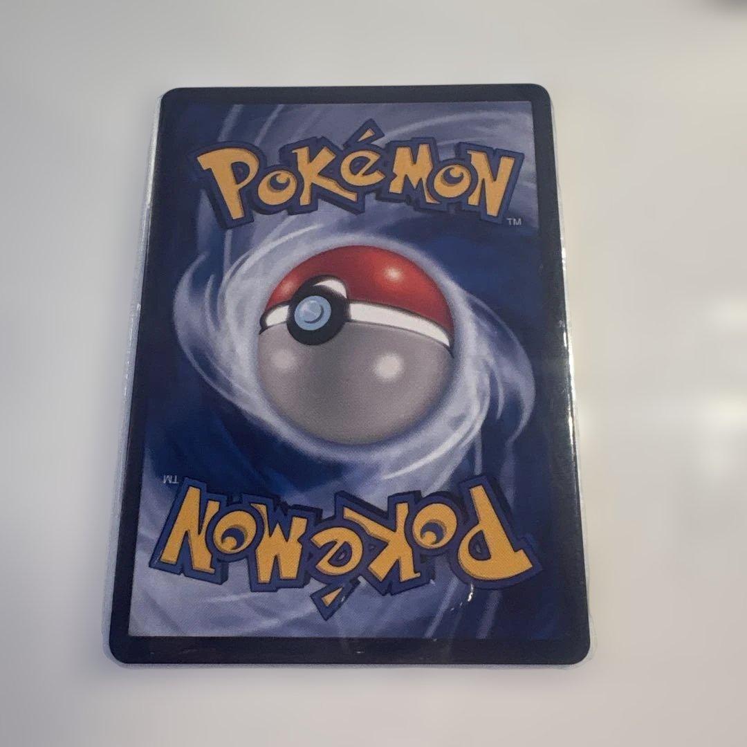 星月夜 イーブイ リザードン ゼニガメ