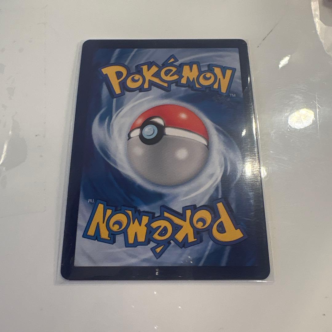 星月夜 イーブイ リザードン ゼニガメ