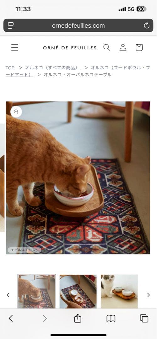 完売品♡オルネコ・オーバルネコテーブル　ネコちゃんわんちゃん➕オルネコブック