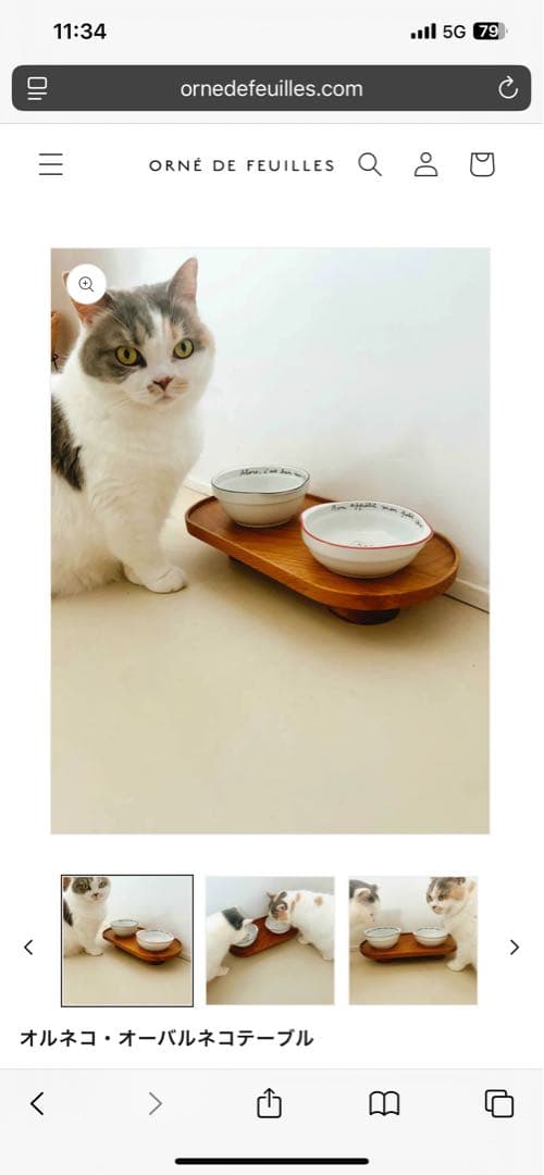 完売品♡オルネコ・オーバルネコテーブル　ネコちゃんわんちゃん➕オルネコブック