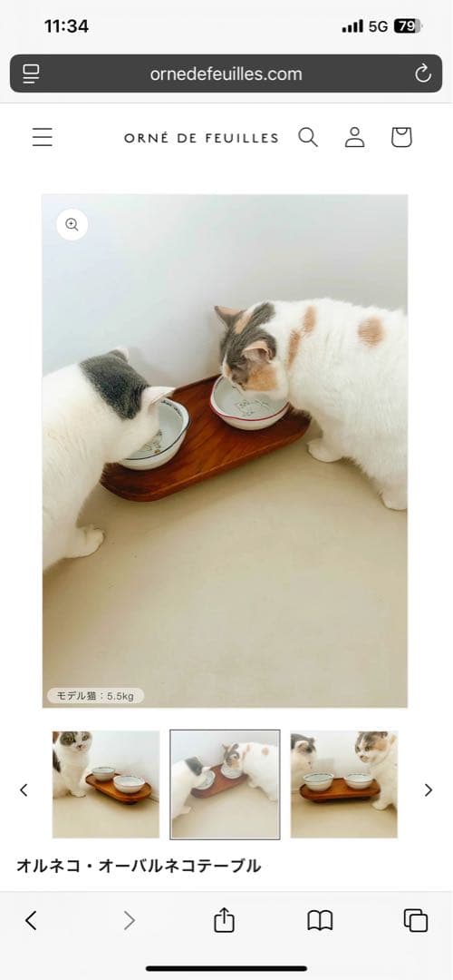 完売品♡オルネコ・オーバルネコテーブル　ネコちゃんわんちゃん➕オルネコブック