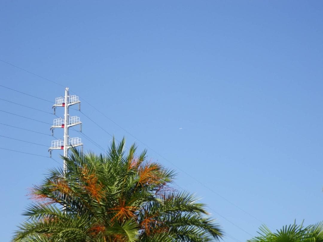 【レトロ可愛い】PENTAX DIGITAL optio I-10 ブラック