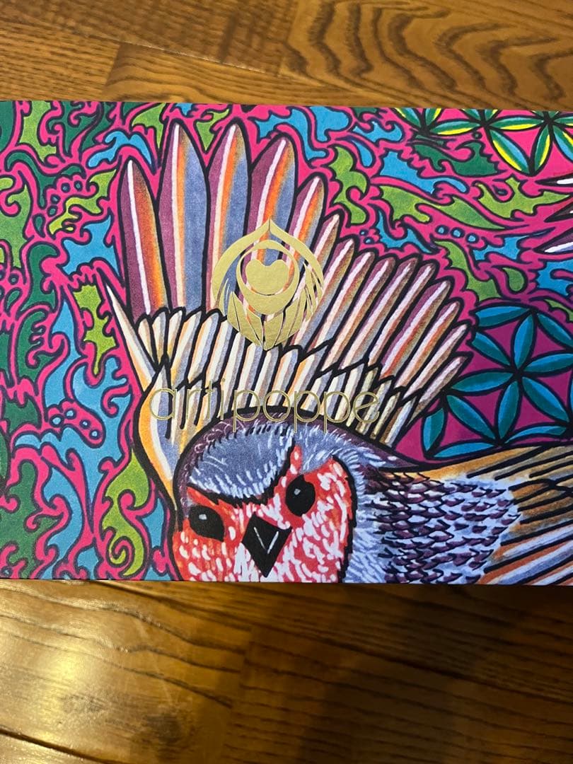 美品箱入り！アーティポッペ　ザイガイスト アーガス・オートリネン