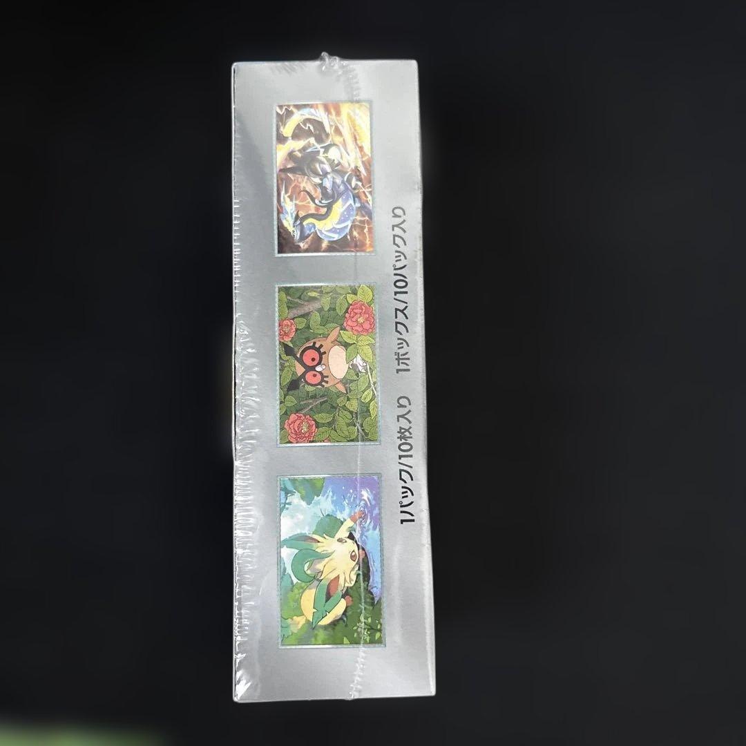 新品未開封 シュリンク付き テラスタルフェスex 1box