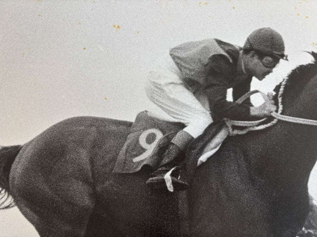 シンザン　昭和40年天皇賞 競馬パネル 日刊スポーツ