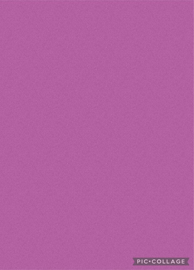 シャンプー Beginner