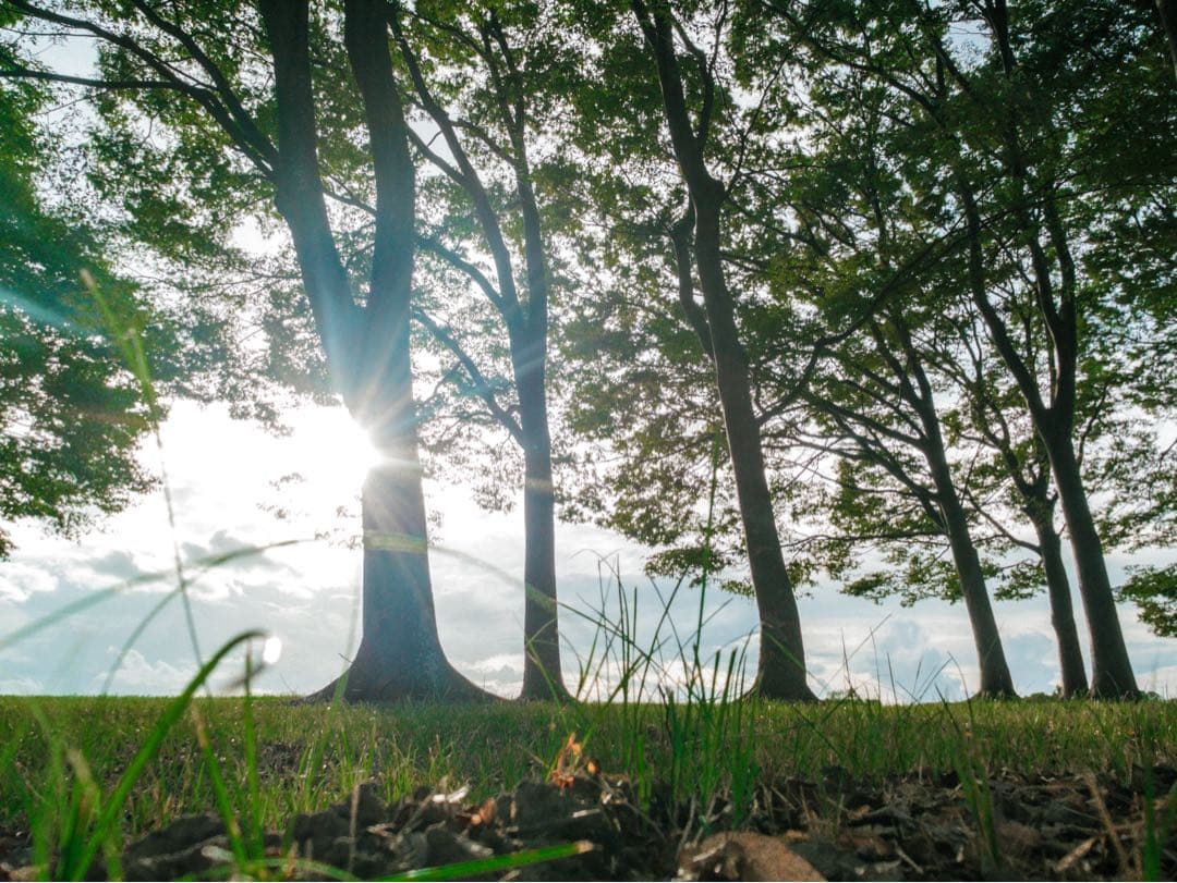 【S/H様】FUJIFILM X10 デジタルカメラ 【良品・付属品多数】