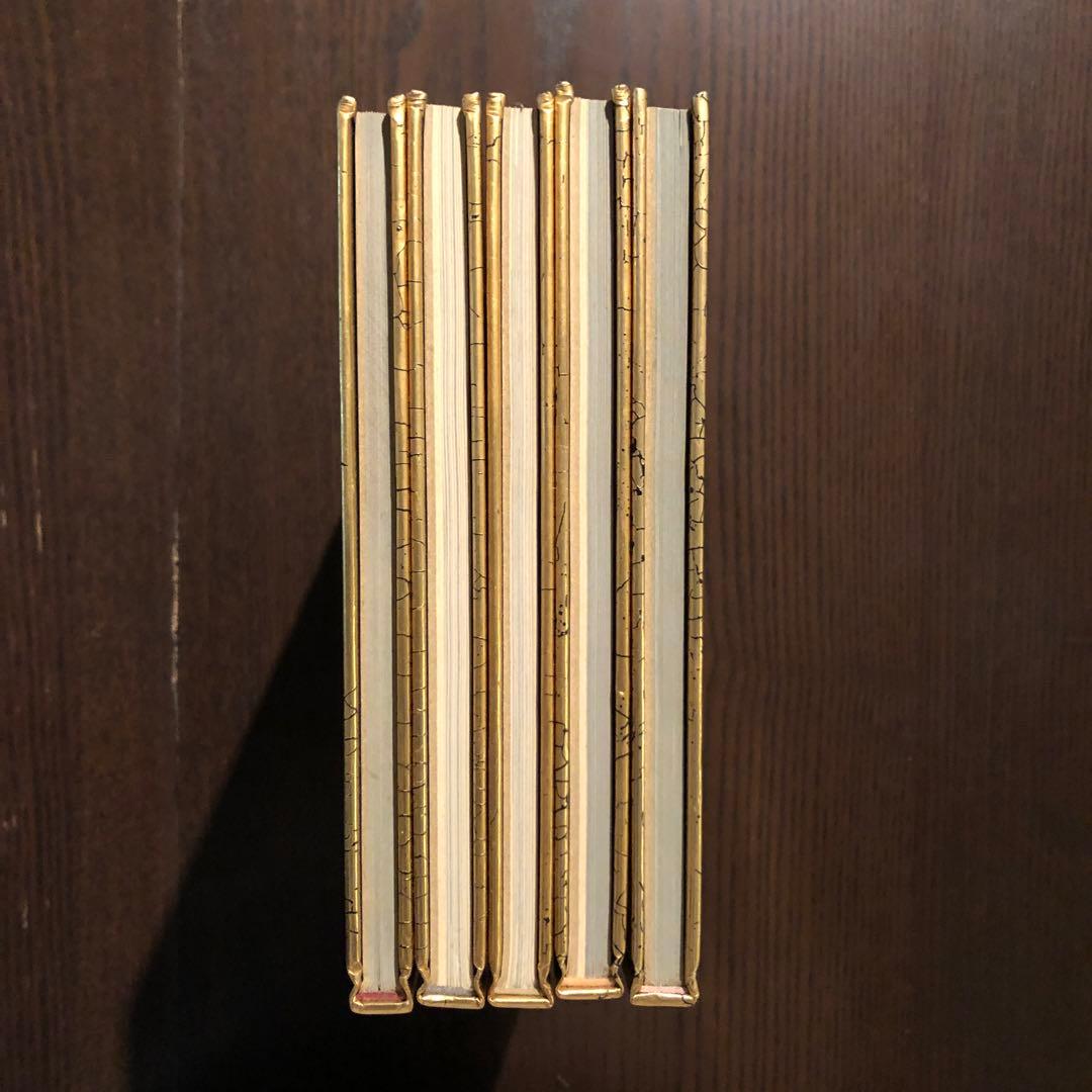 期間限定価格　ピナコテーカ・トレヴィル・シリーズ1-5　モンス・デジテリオ画集他