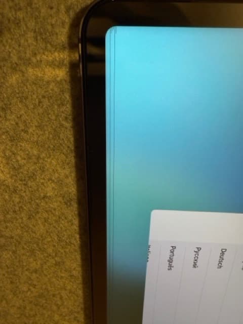 p*n様 iPad Pro M1➕Apple pencil➕CASETiFYのケ