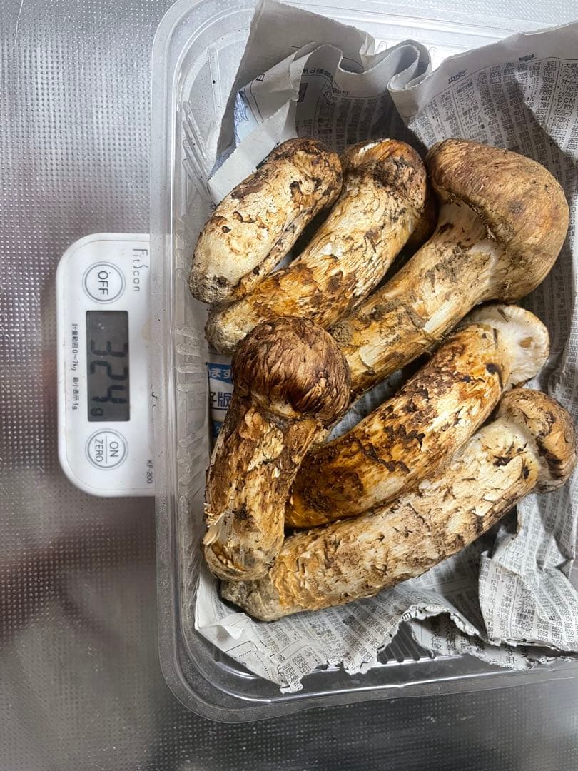 岩手マツタケ 約300g