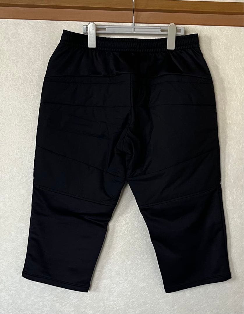 phenix フェニックス　ミドルレイヤー　ミドラー 上下セット　アルペンスキー