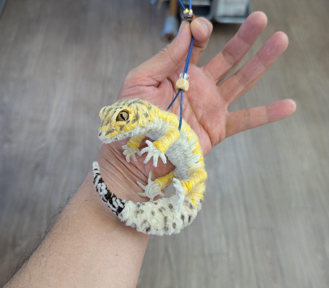 CoCo...オーダー作品モールのレオパ２、アメフクラガエル、ミヤコヒキ