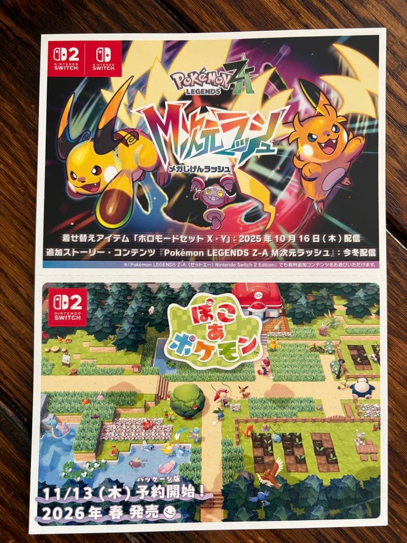 ポケモンZA ソフト 予約購入特典 オリジナルアートブック キーホルダー