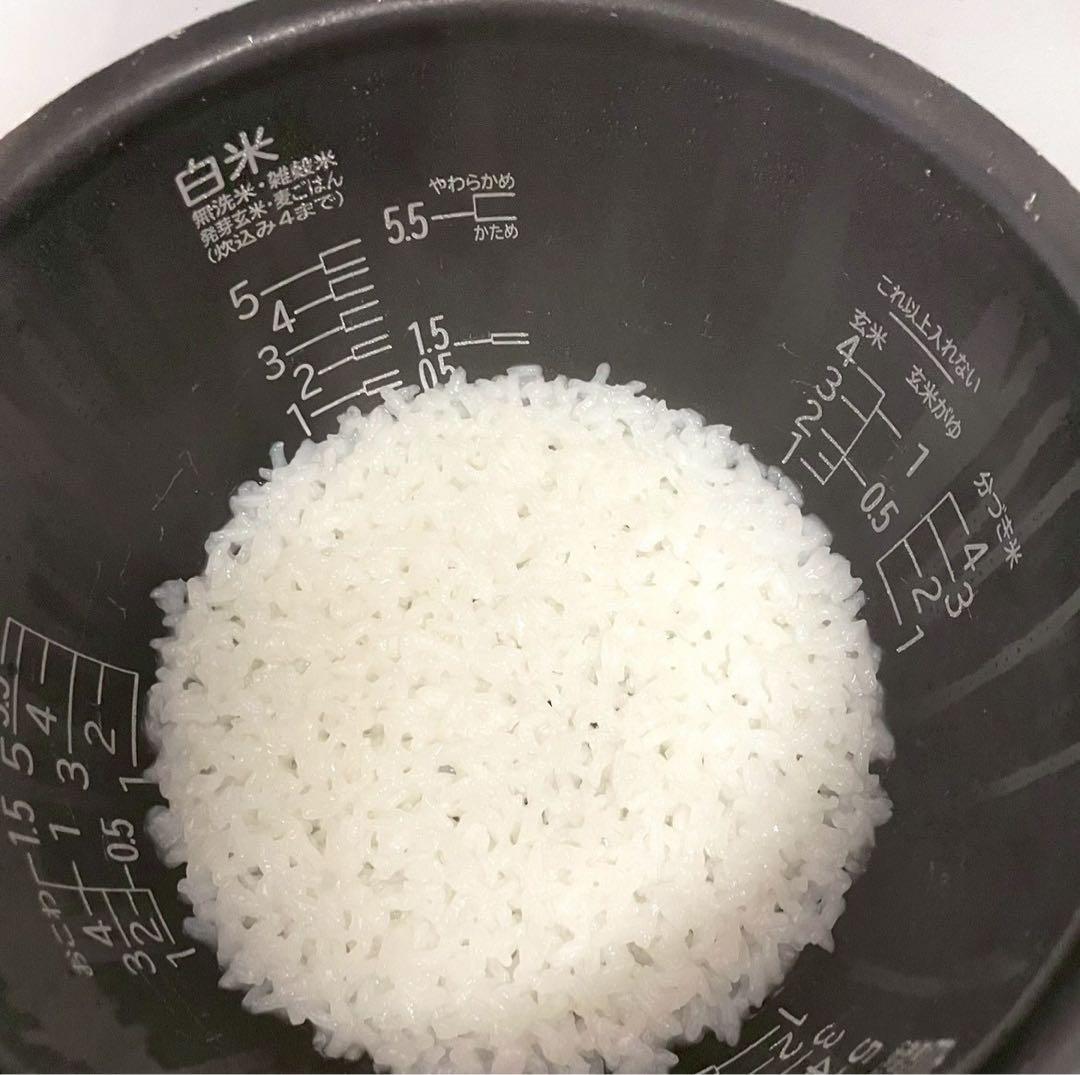 日立 圧力スチーム IHジャー炊飯器 ふっくら御膳 5.5合 RZ-V100EM