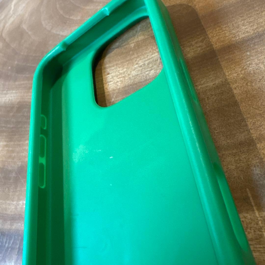 Bottega Veneta パラキート iPhone 16 pro ケース