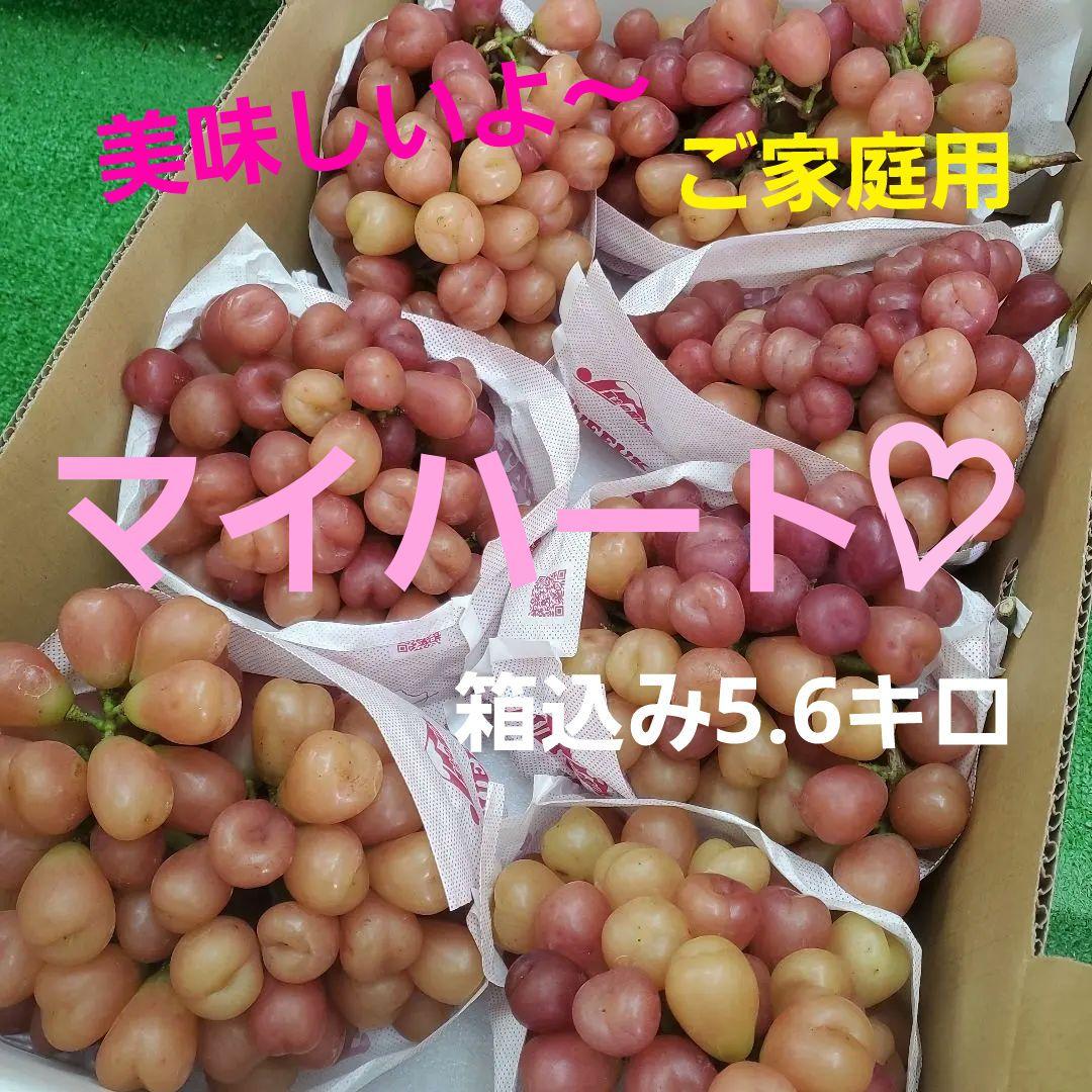 1⃣ 山梨県産 マイハート ７房入り 箱込み5.6キロ