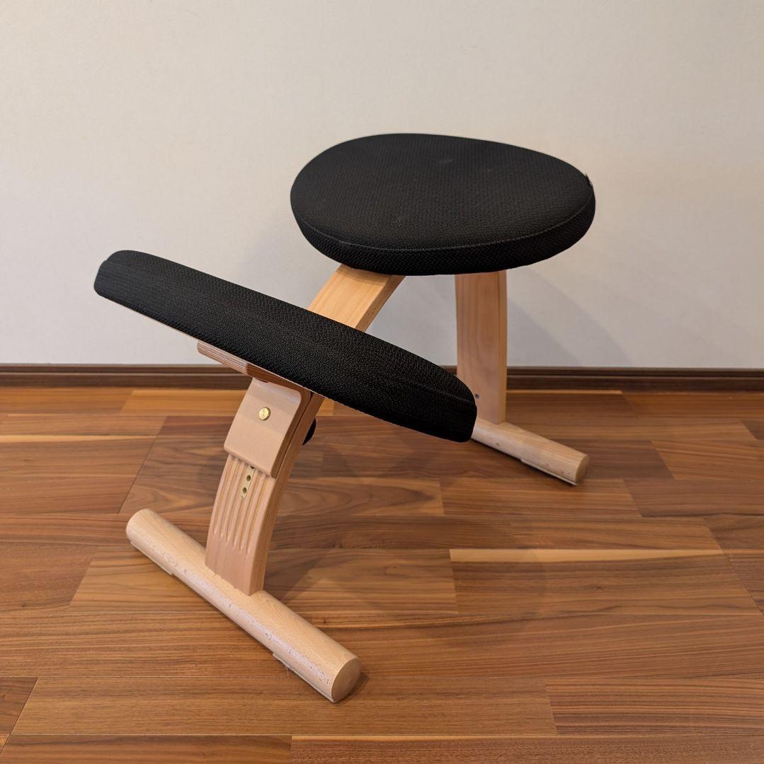 バランスラボ バランスチェア バランスイージー ブラック 通常フレーム 中古美品