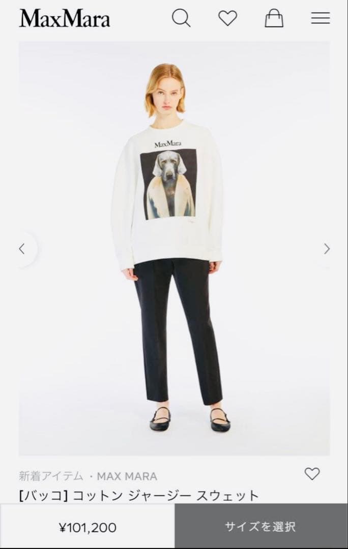 MAX MARA マックスマーラ バッコ コットン ジャージー スウェットXS