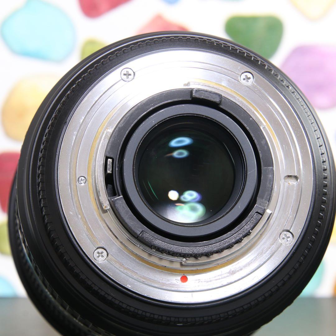 ♥︎◇神レンズ♪ ◇SIGMA 24-70mm F2.8 Nikon