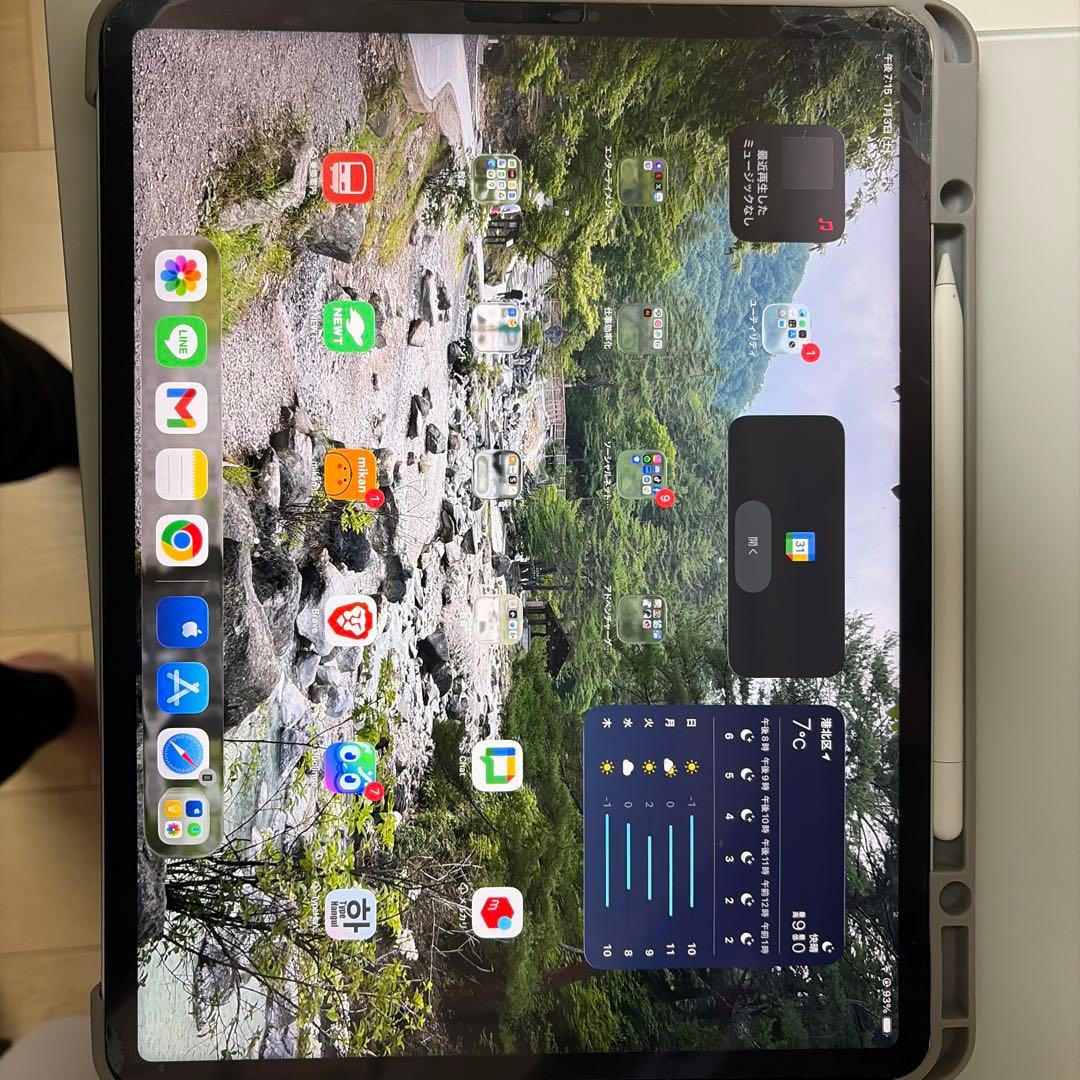 iPad Pro 12.9inch 第五世代