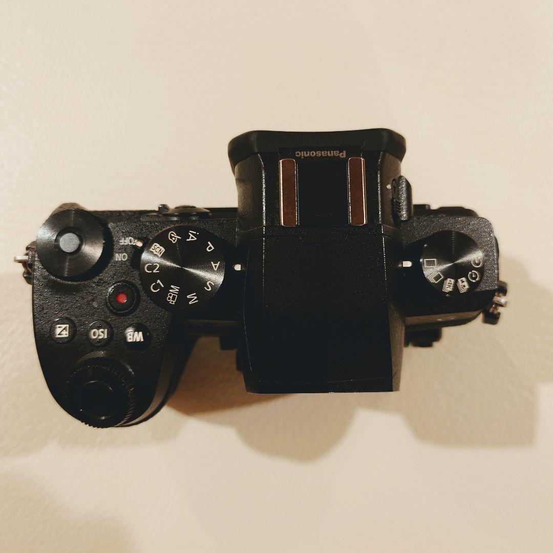 ミラーレス一眼 Lumix DC-G99 レンズ4点セット