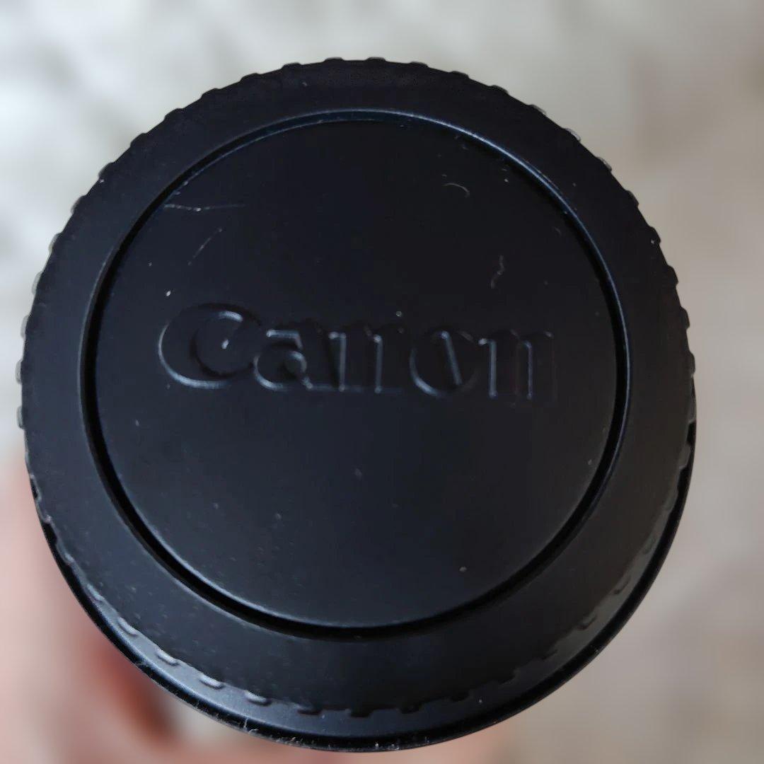 Canon EF 17-40mm f/4L USM ズームレンズ EW-83E付