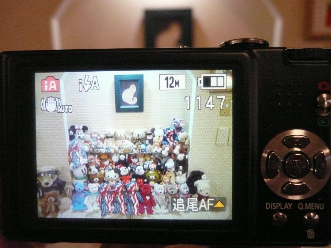 LUMIX★DMC-FX40⚠️必読有⭕️安心の実働品★5倍ズーム1210万画素