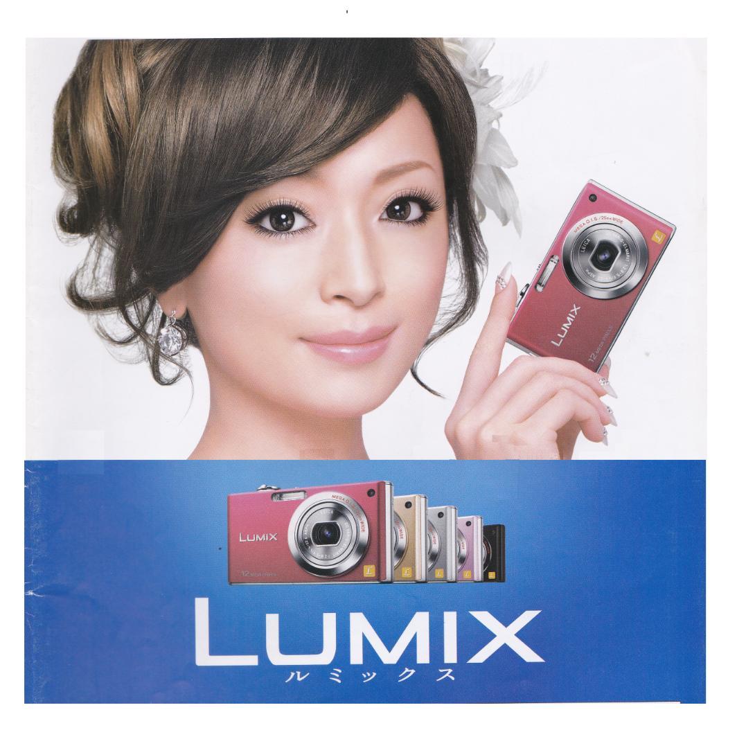 LUMIX★DMC-FX40⚠️必読有⭕️安心の実働品★5倍ズーム1210万画素