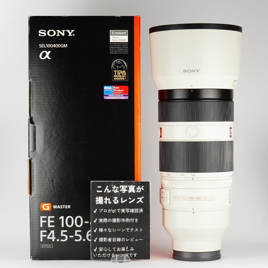 プロ愛用｜SONY SEL100400GM 家族の最高の瞬間を逃さない 398
