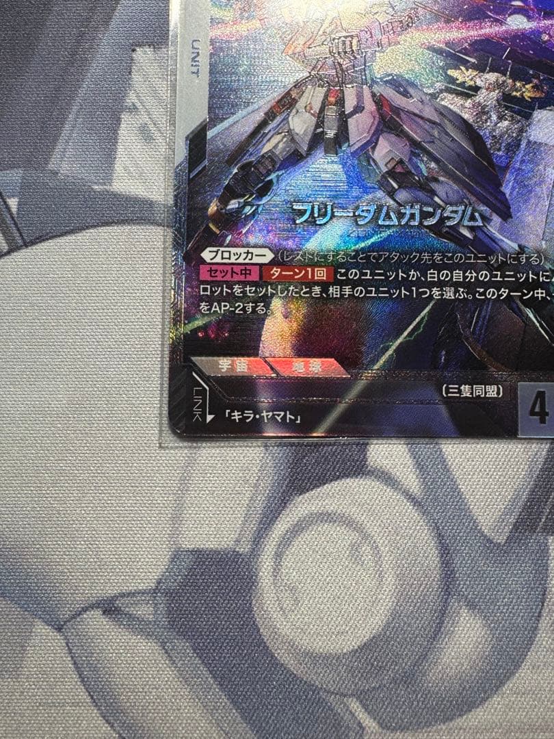 【商品説明必読、値下げ可】ニュータイプチャレンジ優勝賞品　フリーダムガンダム