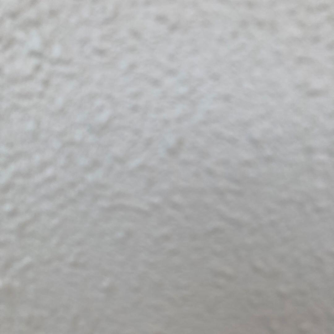 ポケモンカード mumutan様