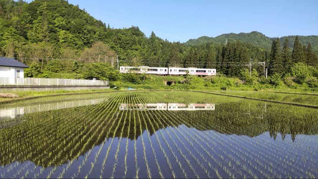 青森県産　はれわたり10㎏　【天日干し米】