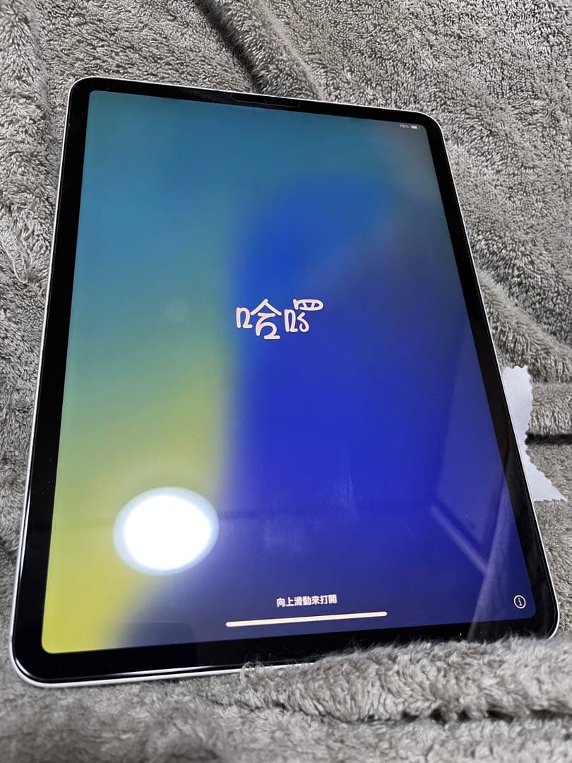 クララiPad Pro 11インチ 第1世代 Wi-Fi+Cellular