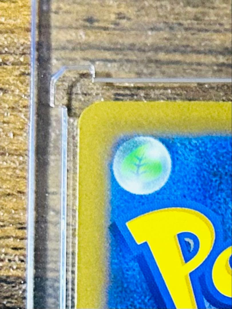 ポケモンカード カナリィSAR 248/193 極美品