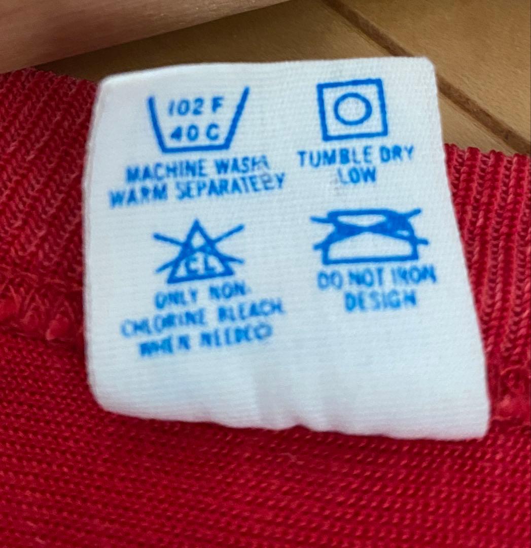 チャンピオン　ウィスコンシンバッジャーズ シャツ L フットボール　80s