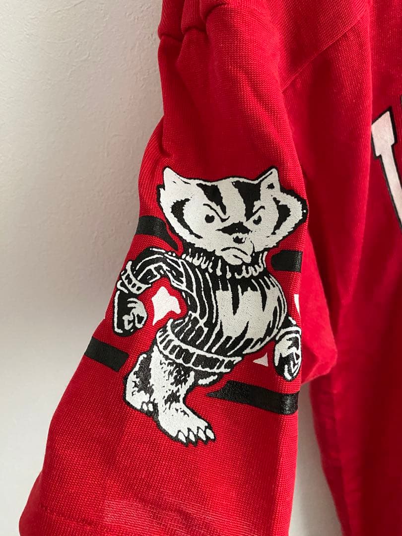 チャンピオン　ウィスコンシンバッジャーズ シャツ L フットボール　80s