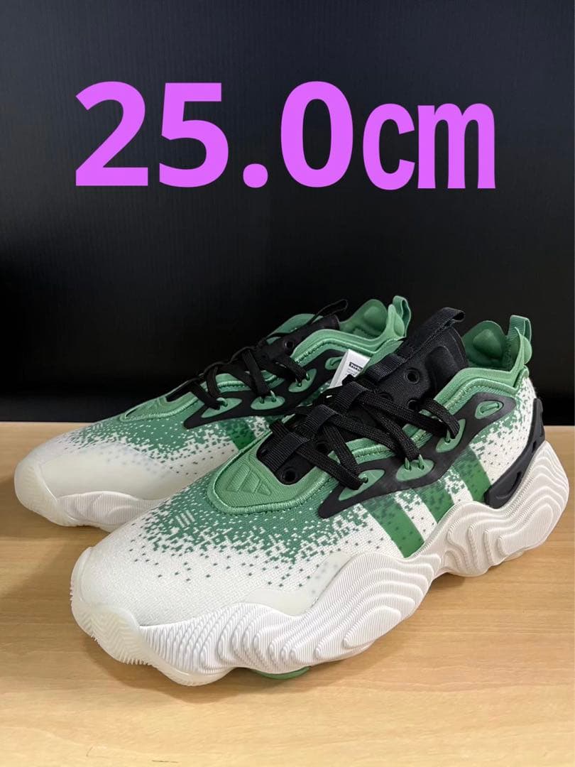 【お年玉価格】トレイヤング 3 IE2703 25.0㎝