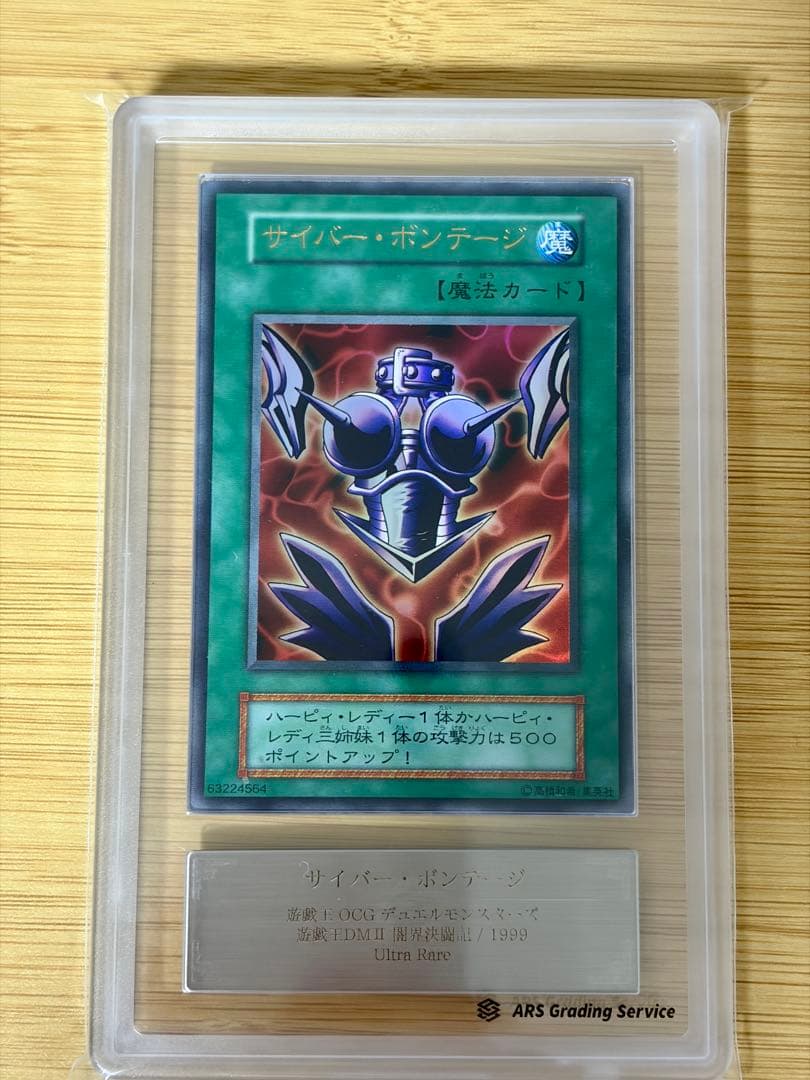 【ARS10】サイバー・ボンテージ　闇界決闘記　ハーピィ　初期