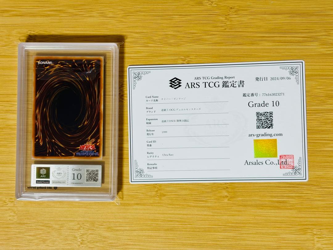 【ARS10】サイバー・ボンテージ　闇界決闘記　ハーピィ　初期