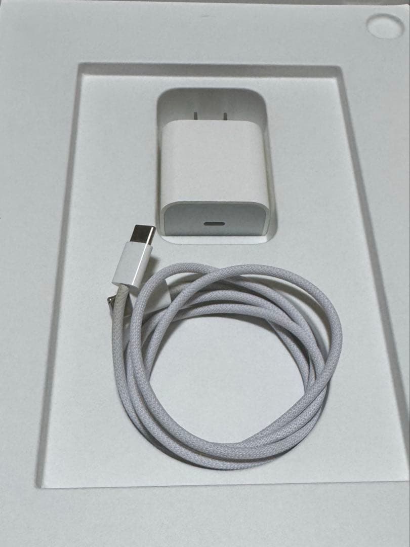 iPad Air 256GB Apple Pencil （第2世代） セット