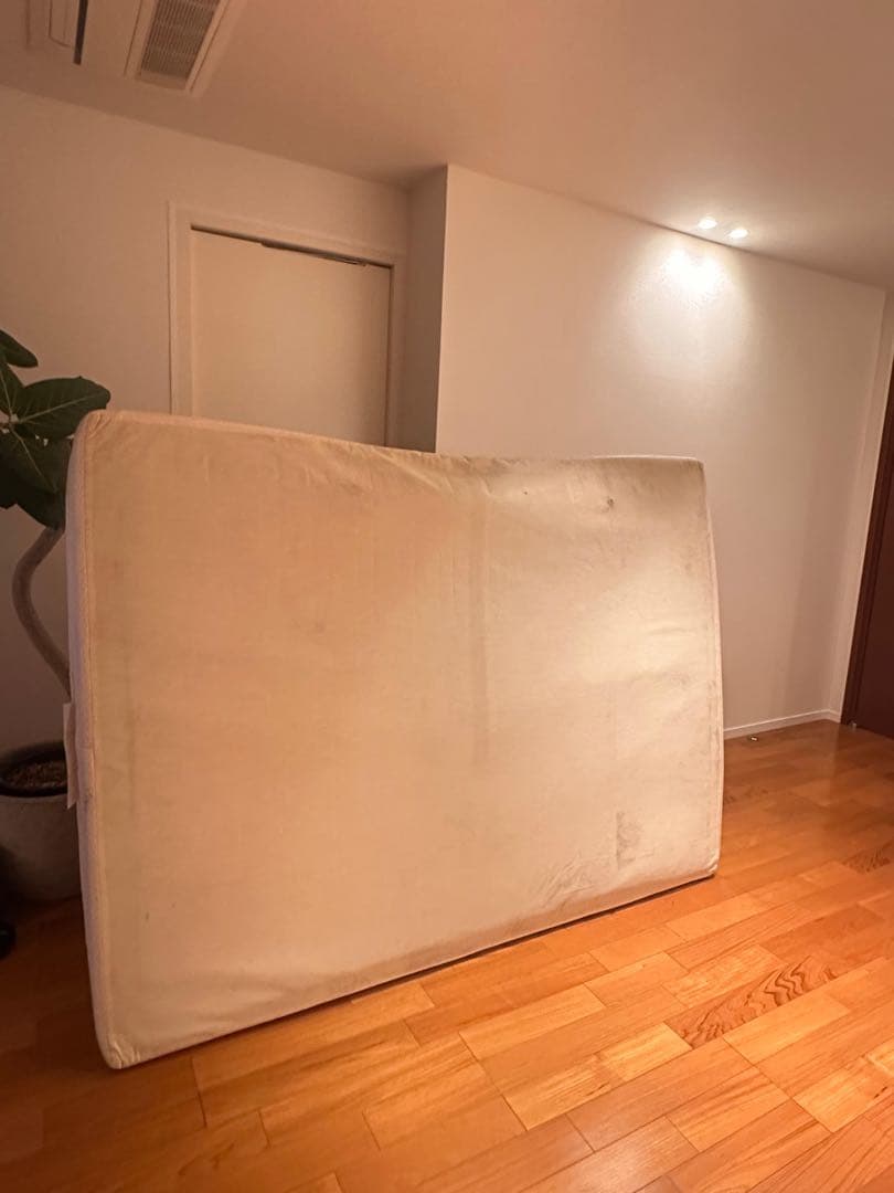 キングスダウン レガリア/ REGALIA