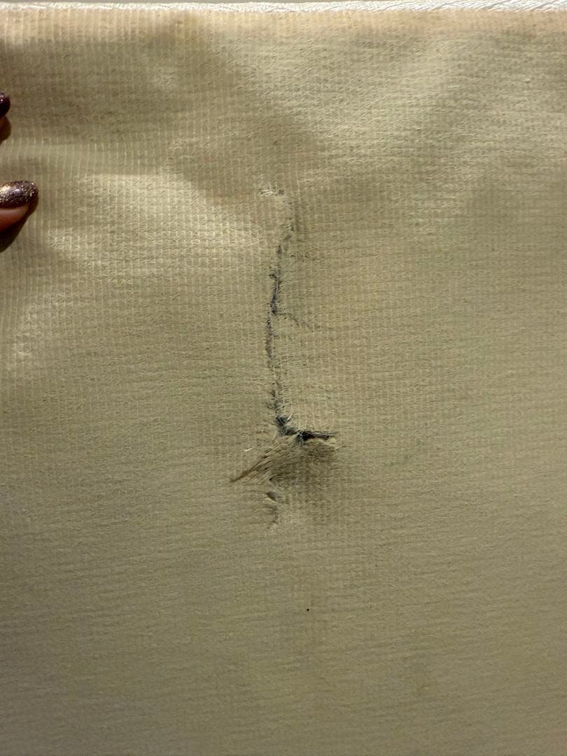 キングスダウン レガリア/ REGALIA