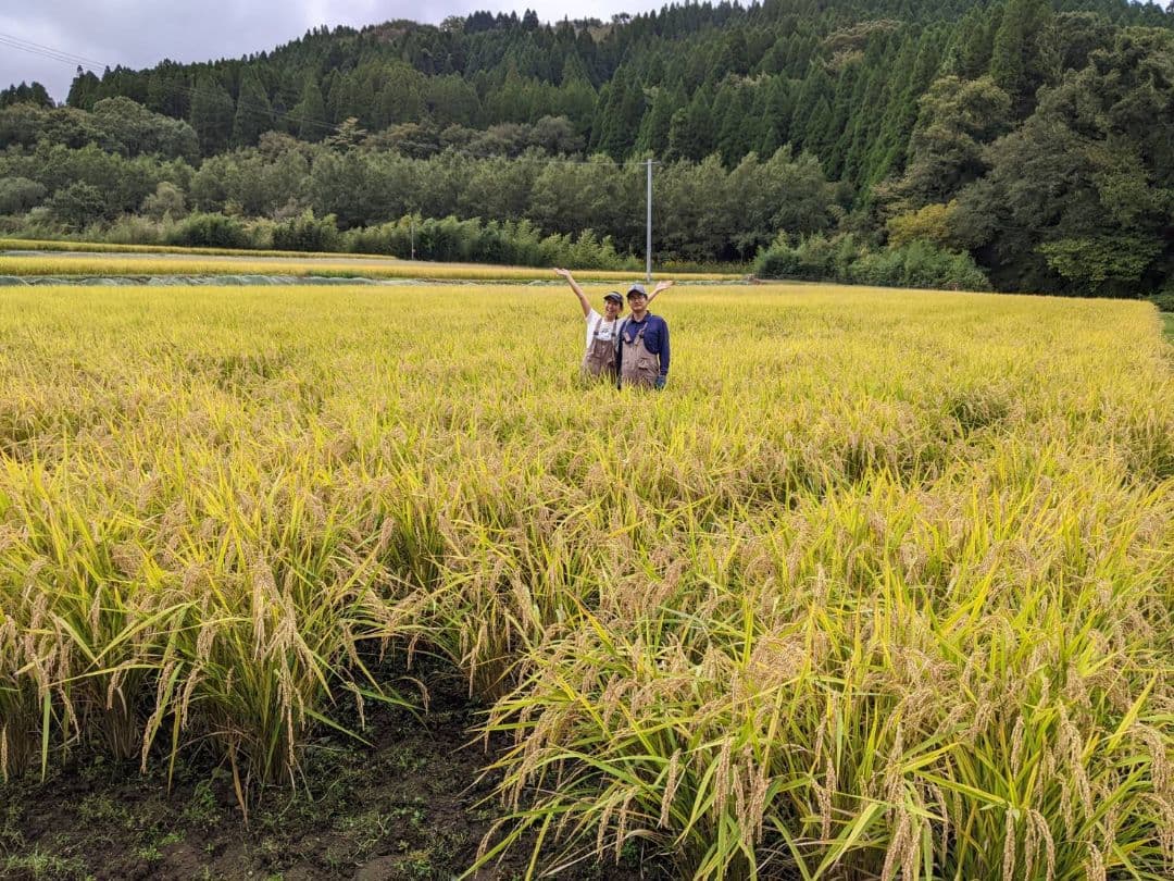 ★自然栽培米　玄米30kg(5kg×6)　令和7年度　熊本県産　森のくまさん★