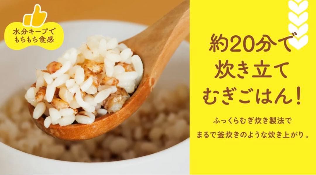 伊藤園　マクアケ　mugimug